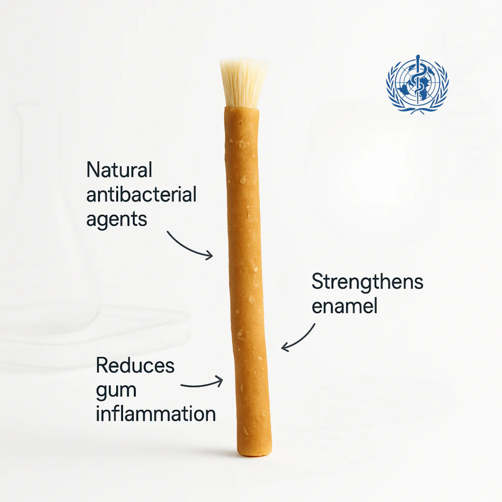 The Miswak Co.