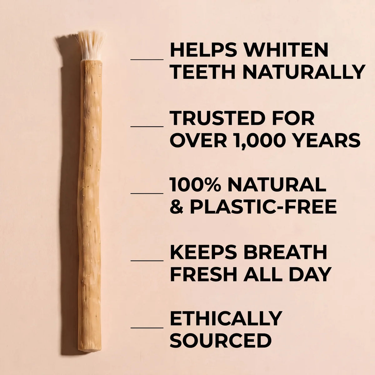 The Miswak Co.