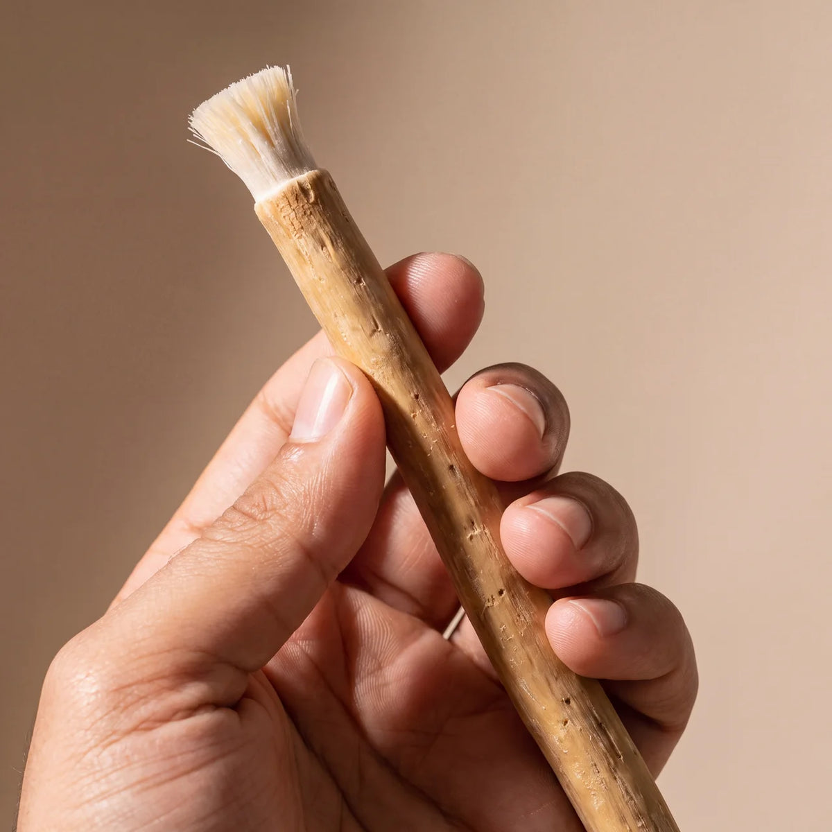 The Miswak Co.